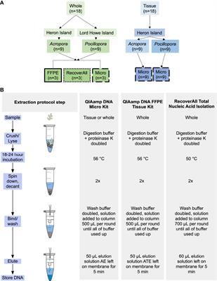 Assessing the coral microbiome at the scale of tissue-specific habitats within the coral meta-organism